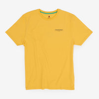 Primary yellow 5 elements