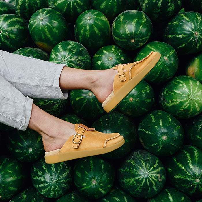 Hoote Premium | Peanut