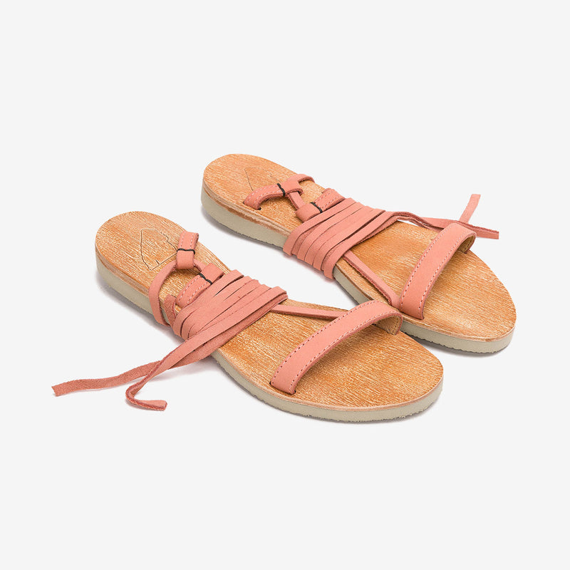Dalias Astex | Shrimp