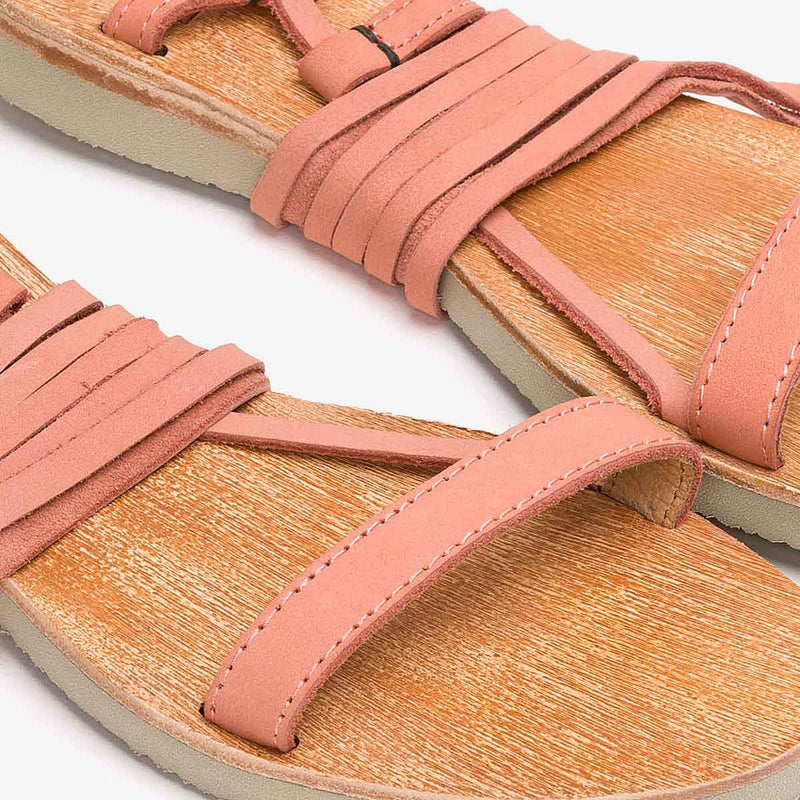 Dalias Astex | Shrimp