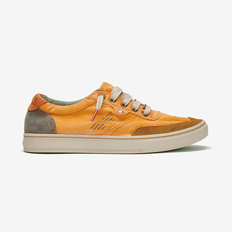 Reiwa Gaia | Cibole Gold